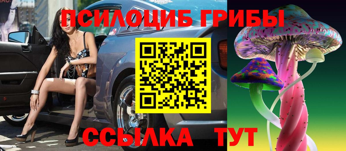 купить наркотик  Вход с VPN  Псилоцибиновые грибы Psilocybine cubensis  Петропавловск-Камчатский  Галлюциногенные грибы ЛСД 