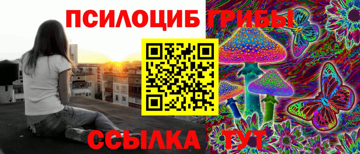 Галлюциногенные грибы Psilocybine cubensis Петропавловск-Камчатский